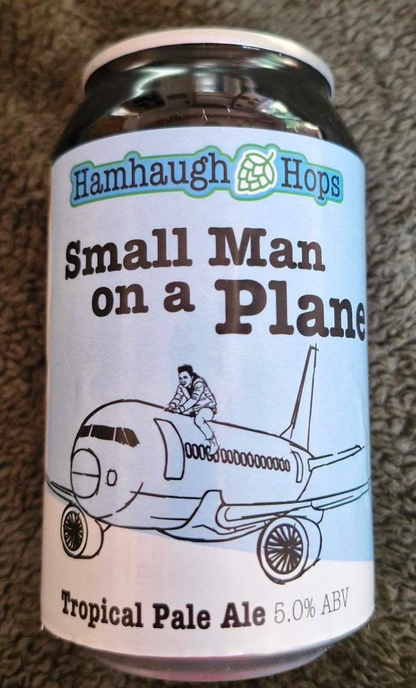 Small Man on a Plane
